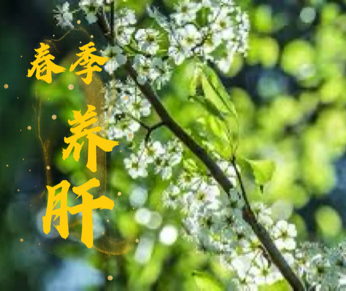 春季论养肝
